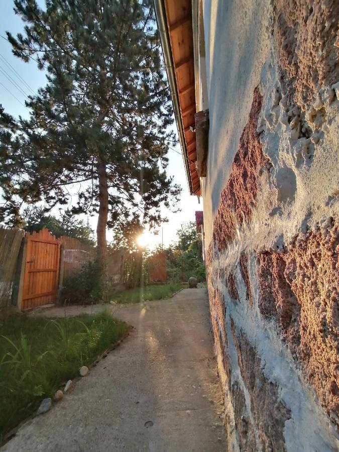 Ижата - Топлина И Уют Borovitsa Dış mekan fotoğraf