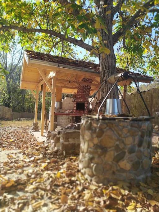 Ижата - Топлина И Уют Borovitsa Dış mekan fotoğraf